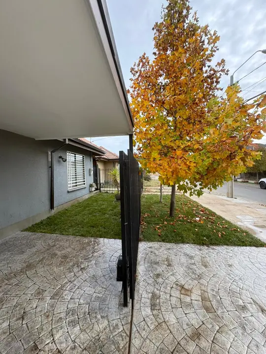 Árbol con hojas de otoño en un antejardín con pastelones