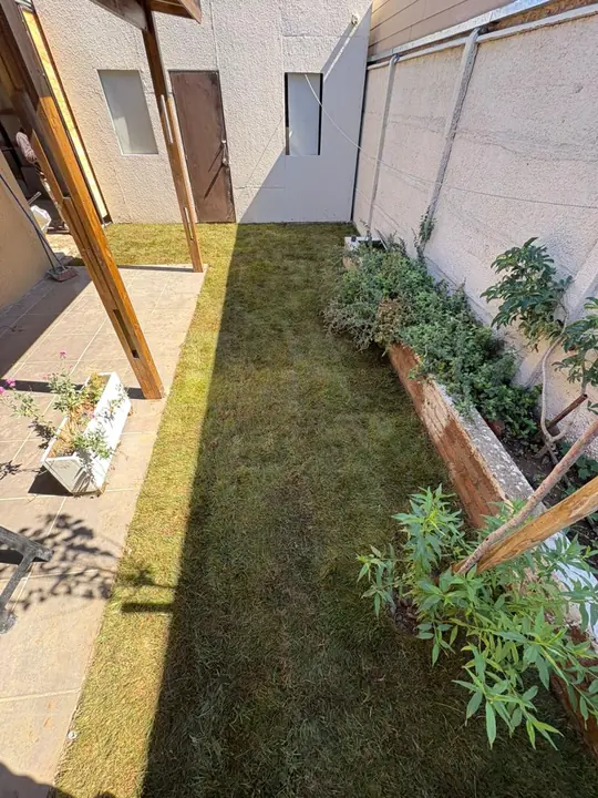 Pasillo lateral con pasto y plantas nuevas