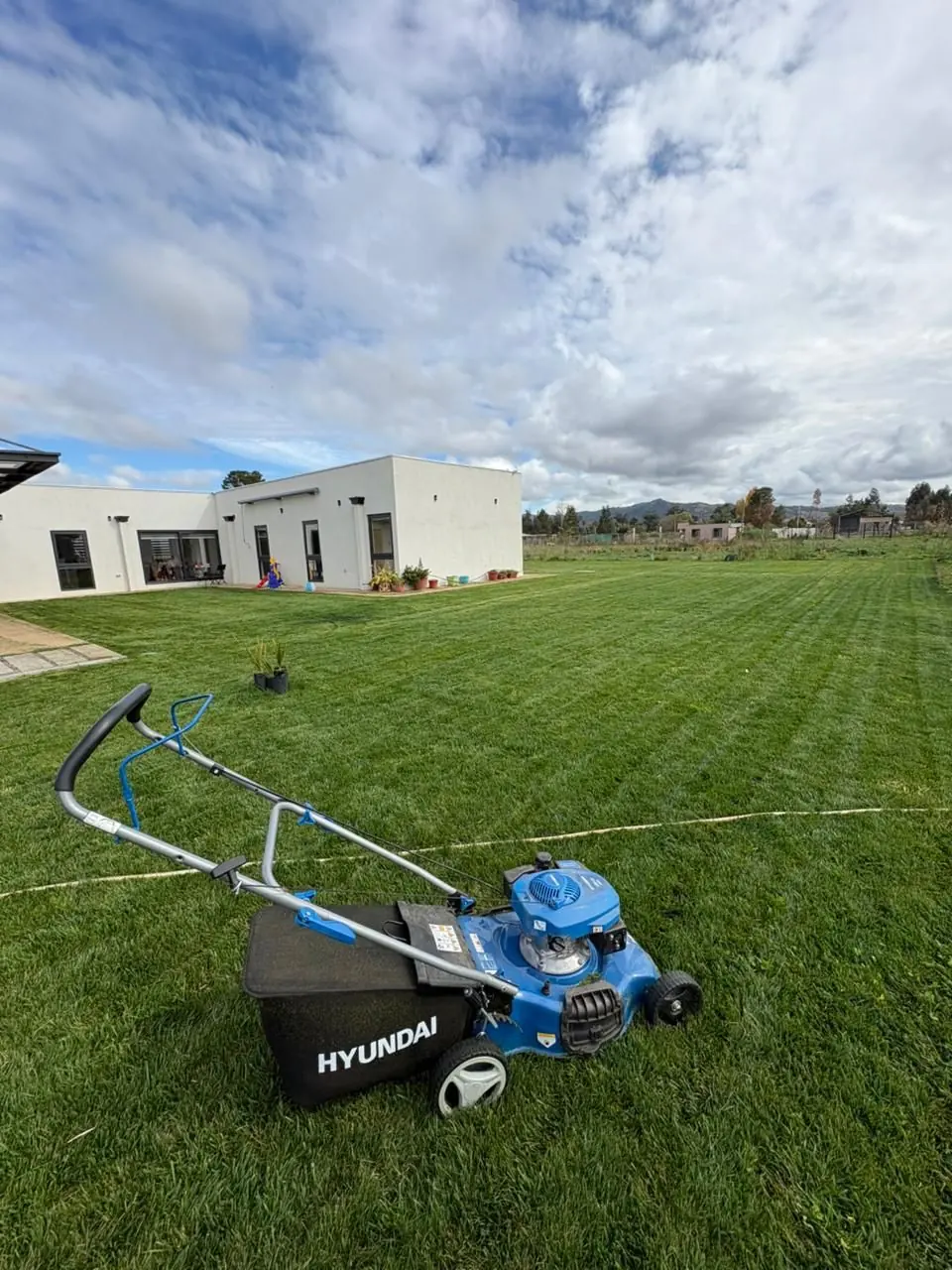 Césped instalado en superficie amplia de parcela en el Maule