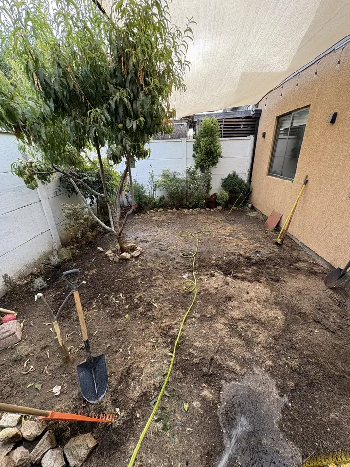 Patio con tierra suelta y un árbol